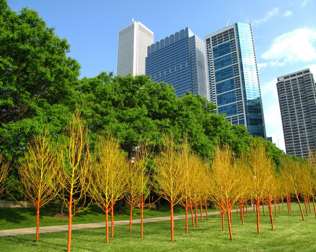 painted forest chicago