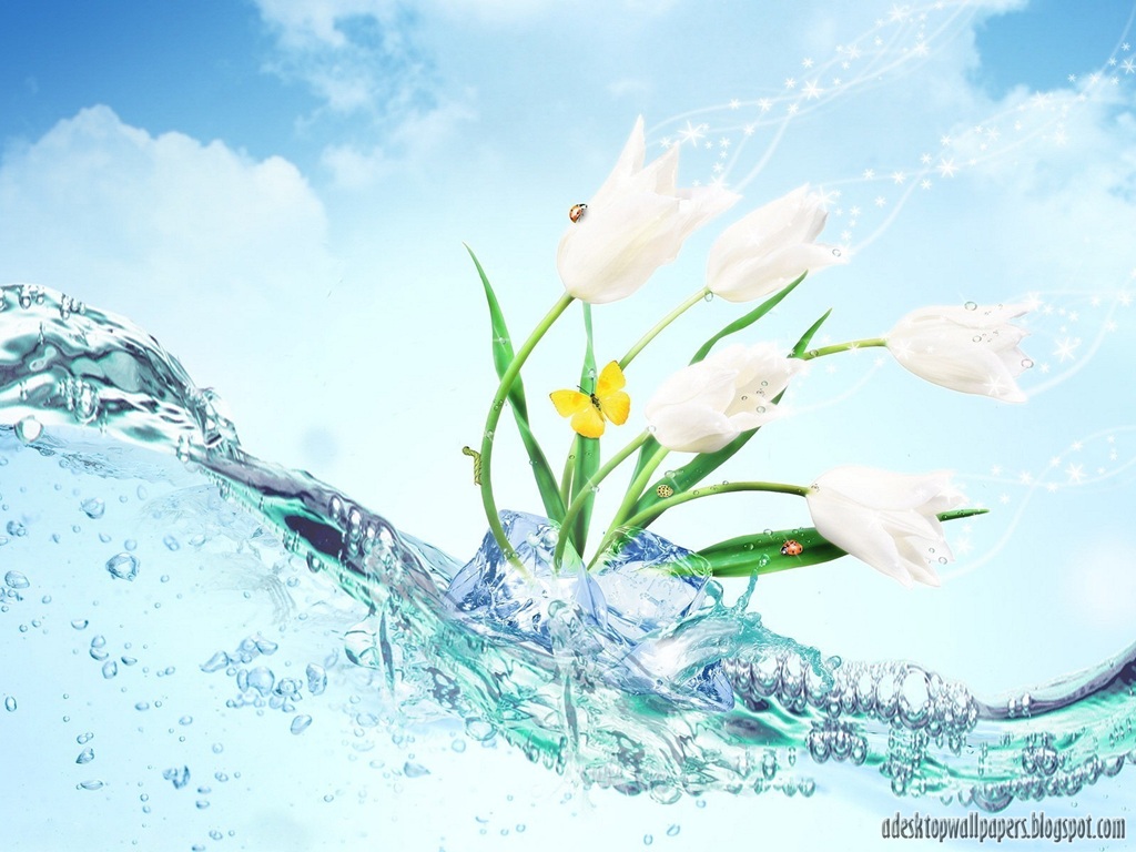 Water and Flowers Desktop Backgrounds picture wallpaper (1024 x 768 )
