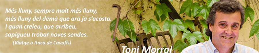 Toni Morral