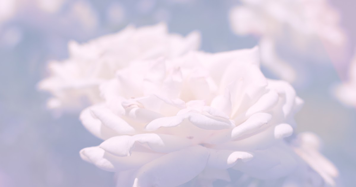 Best Love Messages: Soft pastel wallpapers with lovely messages