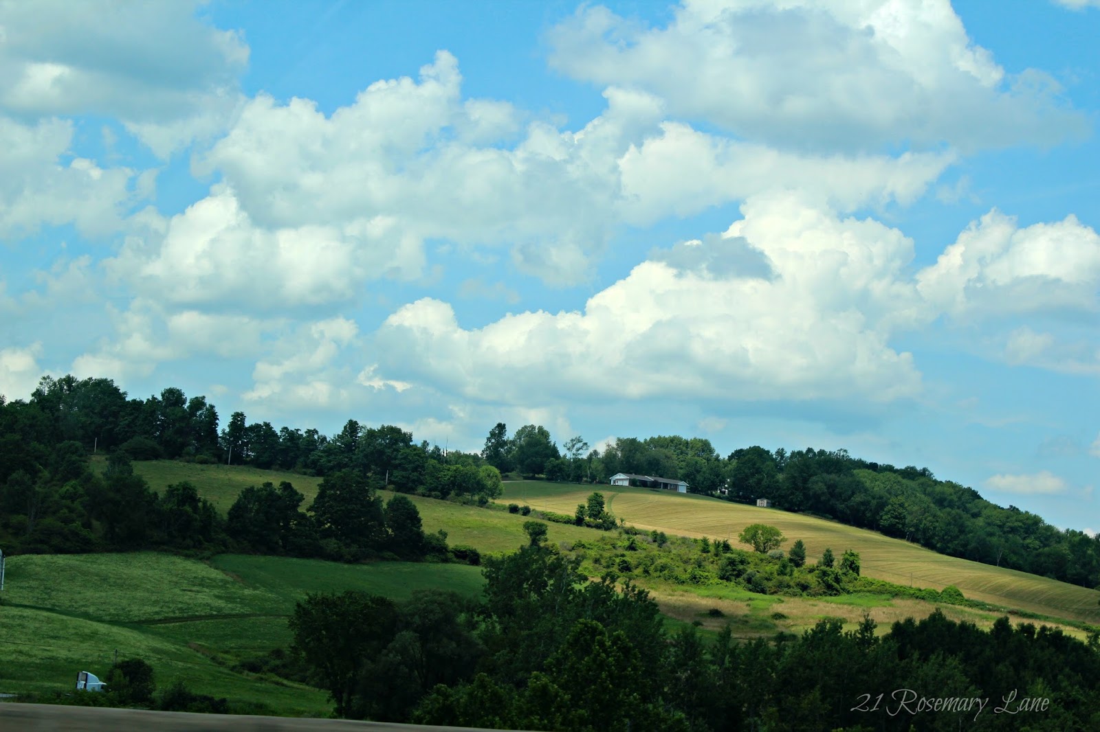 21 Rosemary Lane Images from the Side of the Road