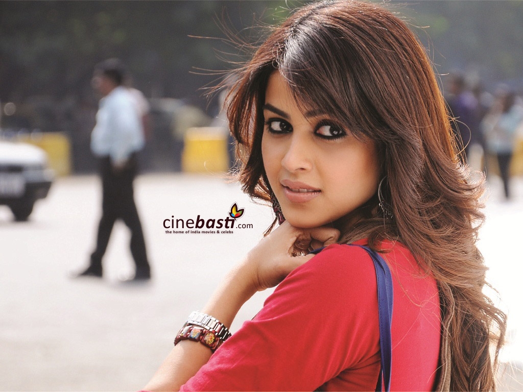 http://4.bp.blogspot.com/-lgqR_oPd6A8/T9rXuSDOL5I/AAAAAAAAATw/CCgCdaK_njk/s1600/Force_movie_wallpaper_19.jpeg