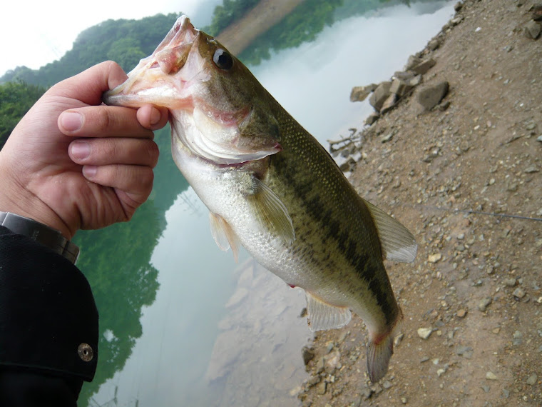 Fishing　Kumamoto9669