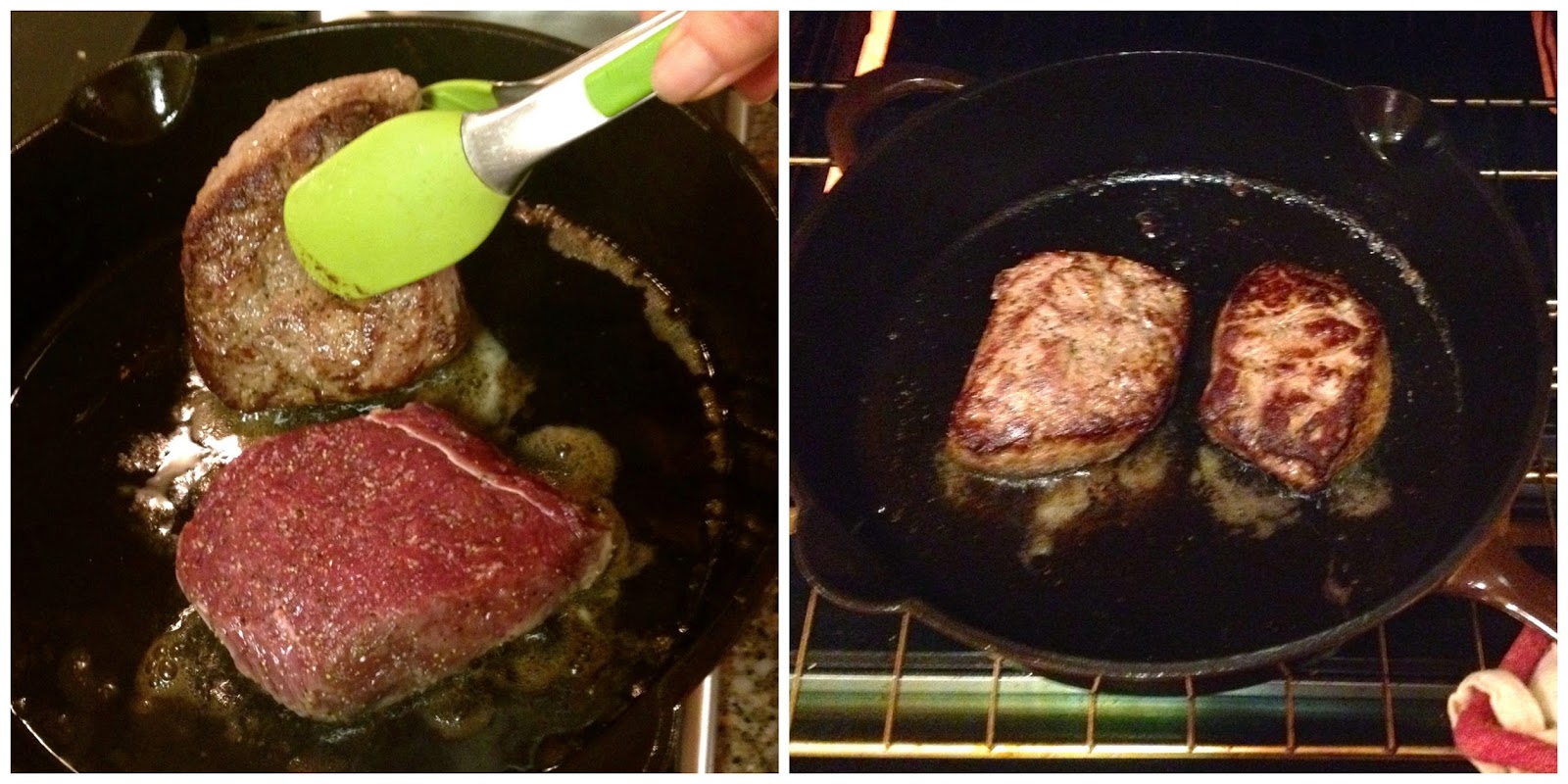 The Baked Alaska Project Moose Tenderloin with Mushroom Cream Sauce