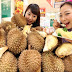 BUDIDAYA D U R I A N ( Bombaceae sp. )