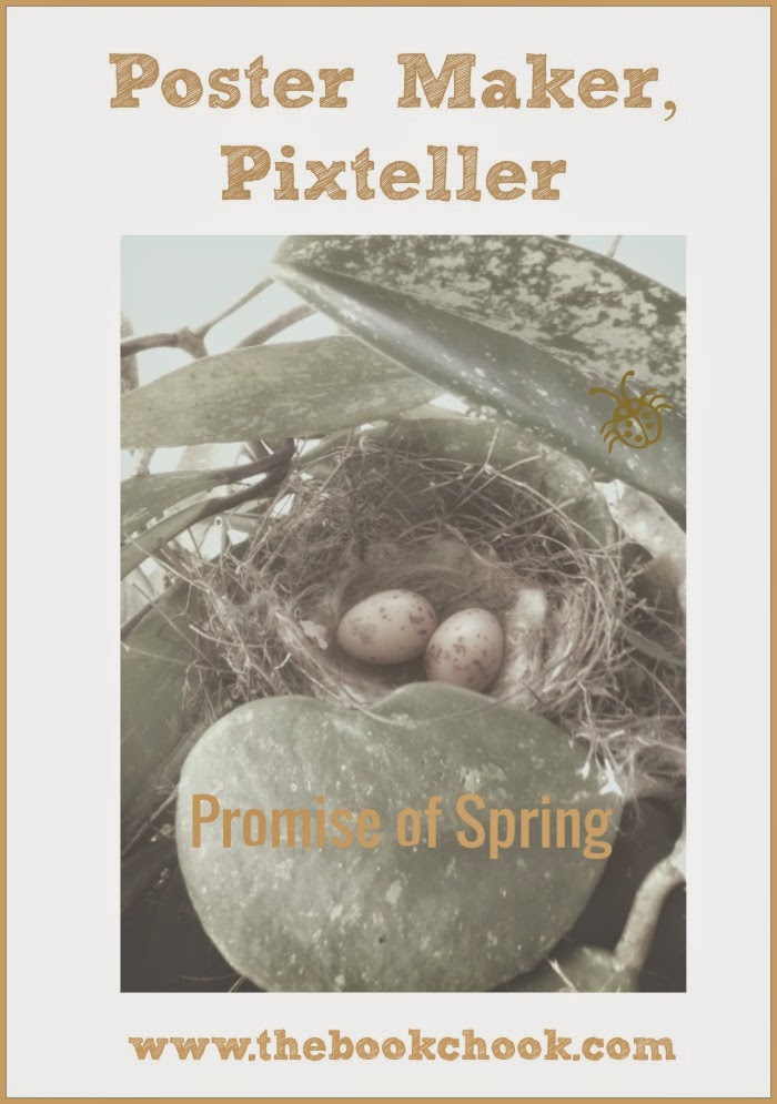 the book chook poster maker pixteller