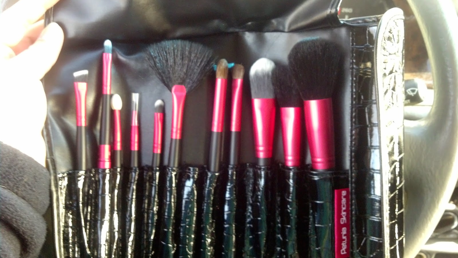 Petunia Skincare Professional 12 Set Makeup Brush Kit Review Petunia Skincare Professional 12 Set Makeup Brush Kit Review
