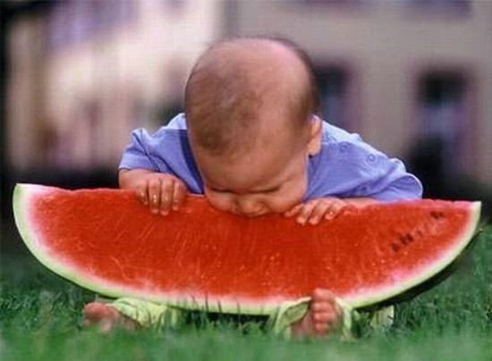 funny eating images