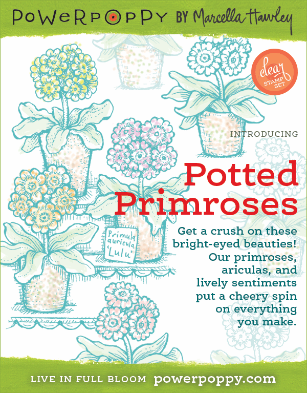  http://powerpoppy.com/products/potted-primroses-stamp-set
