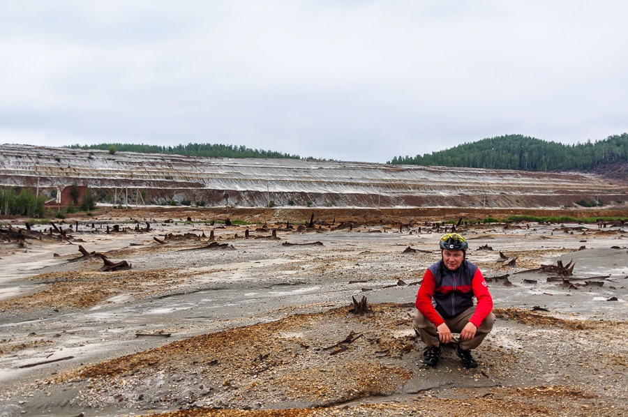 Туда, где намазано медом