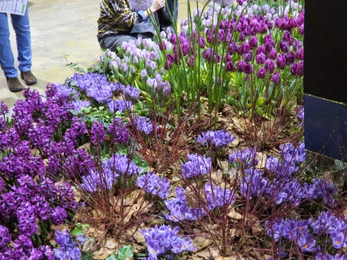 Philadelphia Flower Show 2015: Movies- Mary Poppins