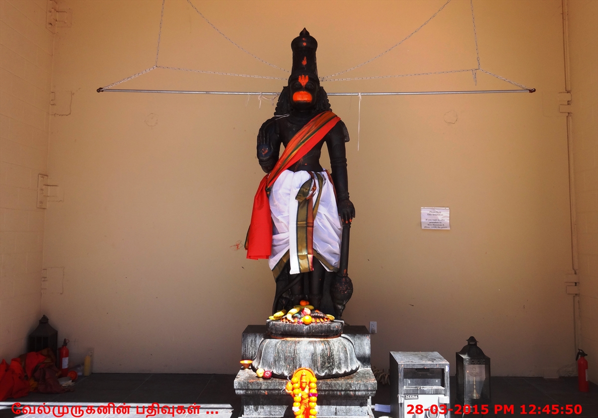 austin hindu temple holi 2025