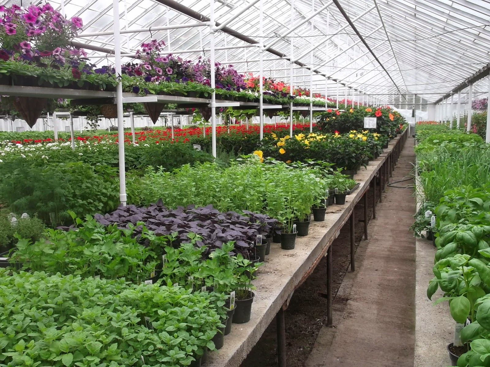 Eaton Rapids Joe Hastay's Greenhouse and Flower Shop small business