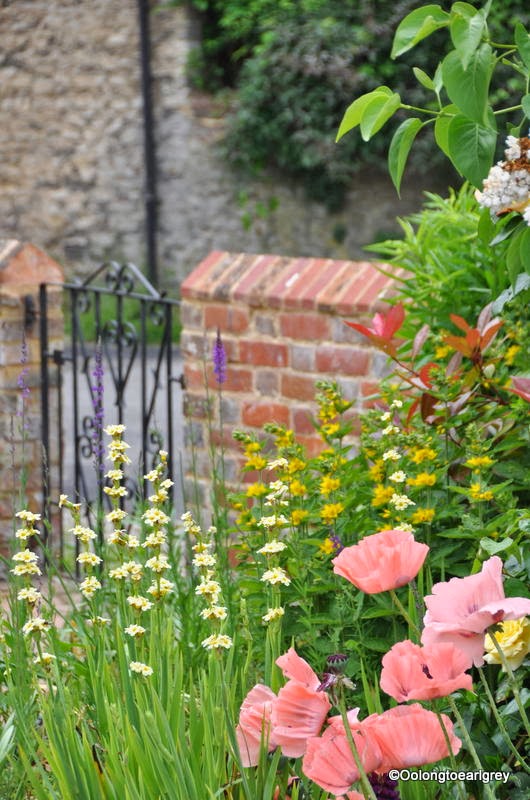 English Cottage Garden English Cottage Garden