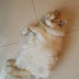 Semoga Rizky Cepat Sembuh