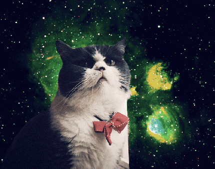 [Image: 2-2small.gif]