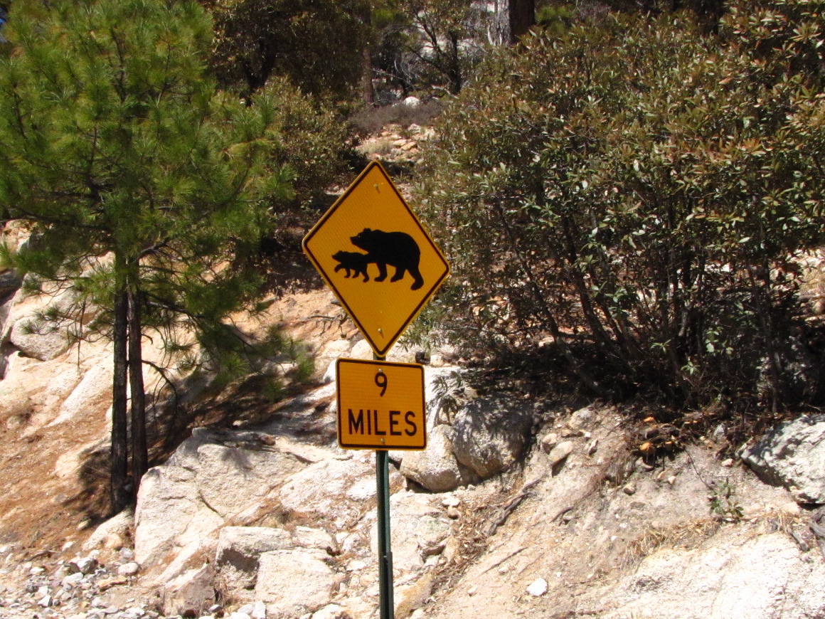 Where's Eldo? The Sky Island Scenic Byway Revisited