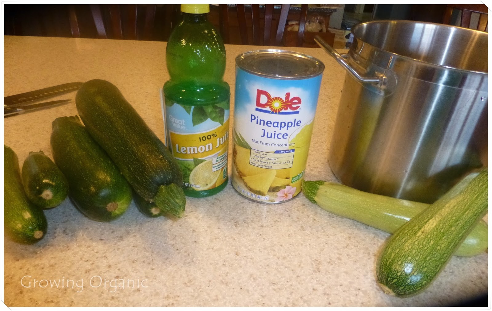 Growing Organic Canned Pineapple Zucchini