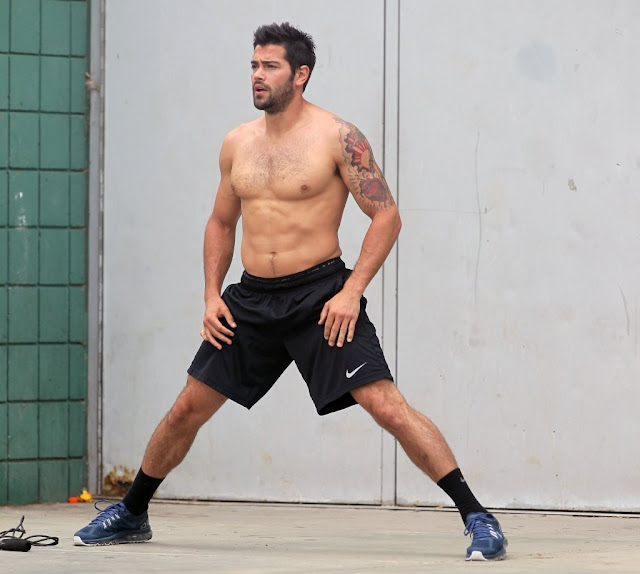lance gay from Donovan jesse metcalfe gay rumors