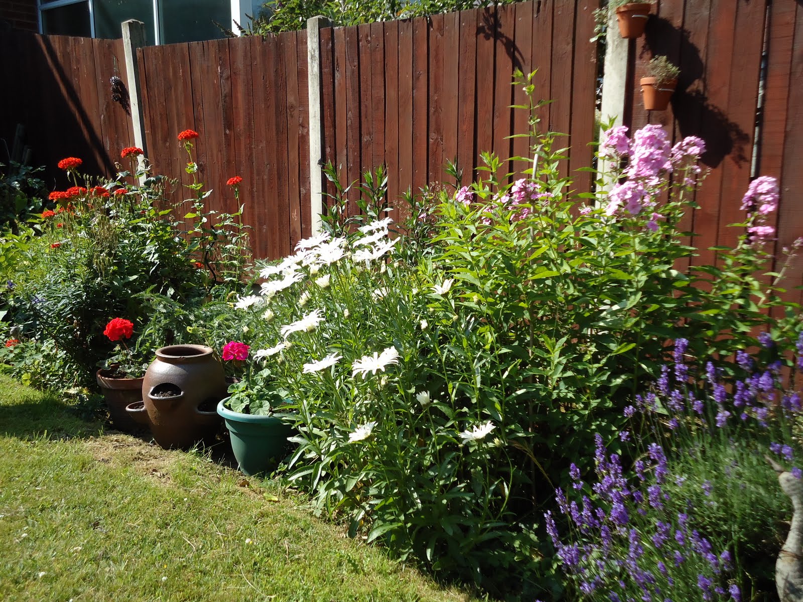 Love My Garden Summer Herbaceous Border