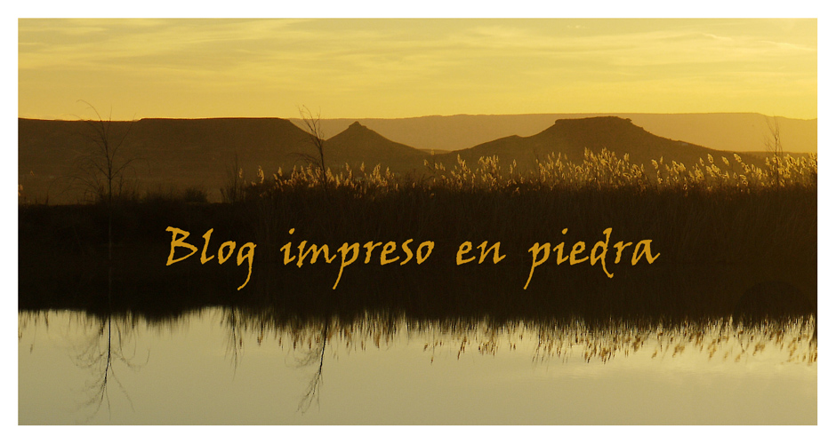 BLOG IMPRESO EN PIEDRA