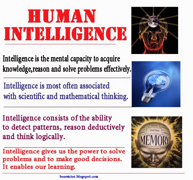 Human intelligence and success in life
