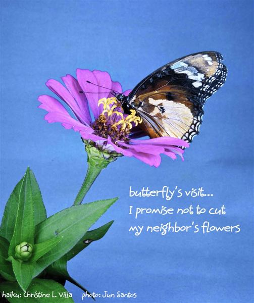 BLOSSOM RAIN World Haiku Association (98th Haiga Contest)