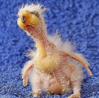 Download Lagu Sulis Misteri Dua Dunia Mp3 Download Lagu Sulis Misteri Dua Dunia Mp3