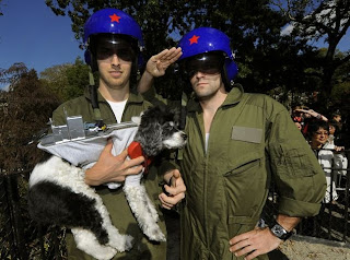 Pakaian Anjing, Keren, Menarik
