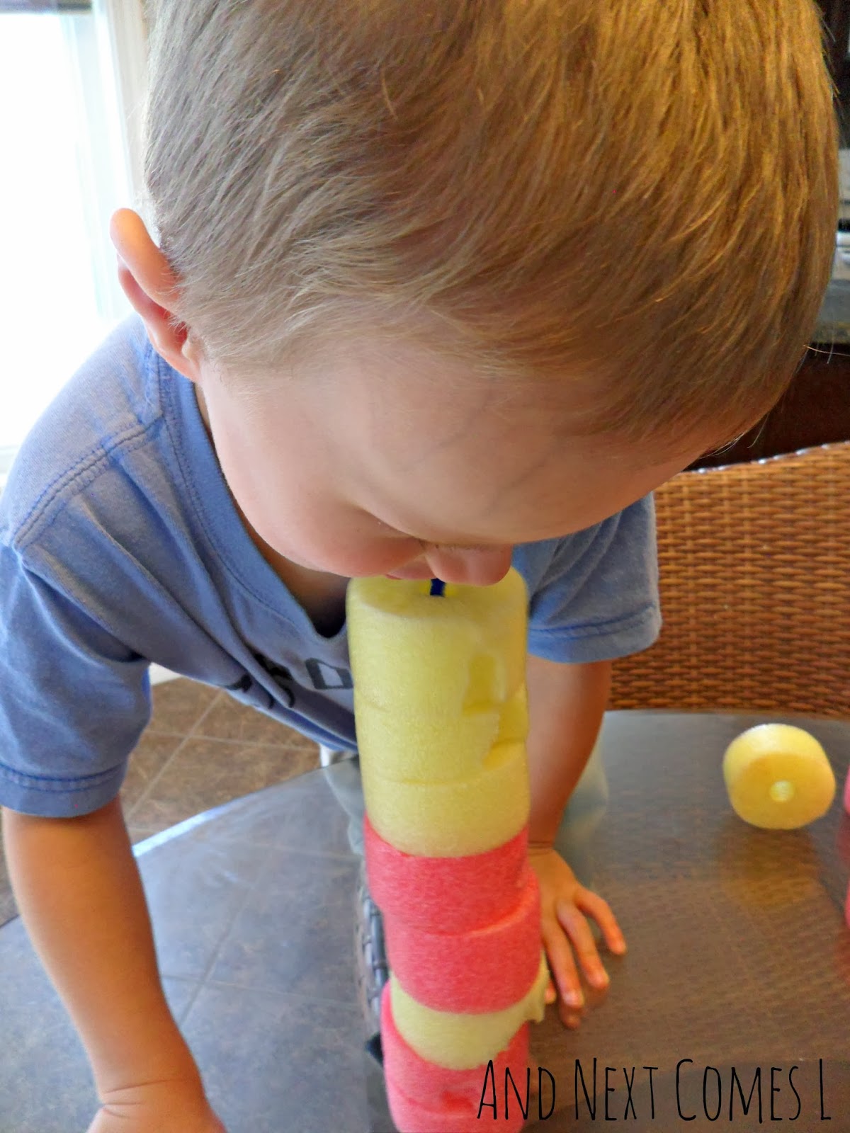 Building with Pool Noodles and Pipe Cleaners And Next Comes L