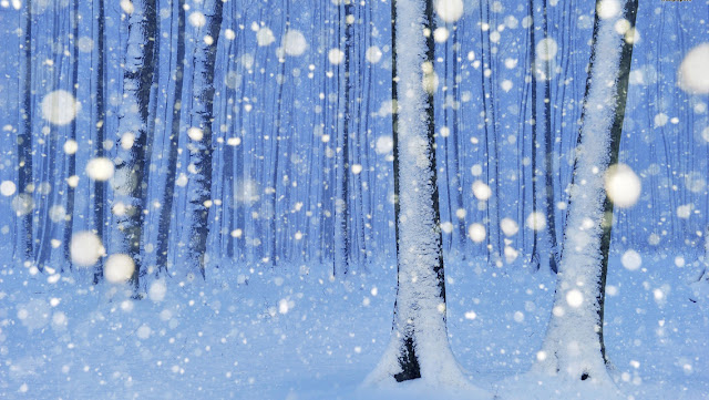 Best Winter Snowflakes HD Wallpaper
