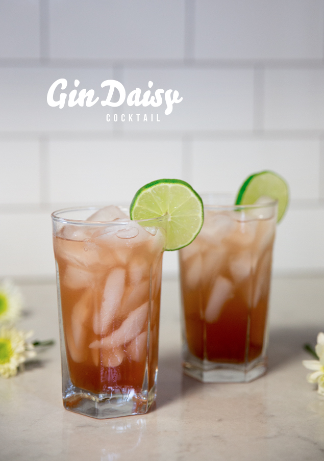 Très Awesome Cocktail Recipe Gin Daisy