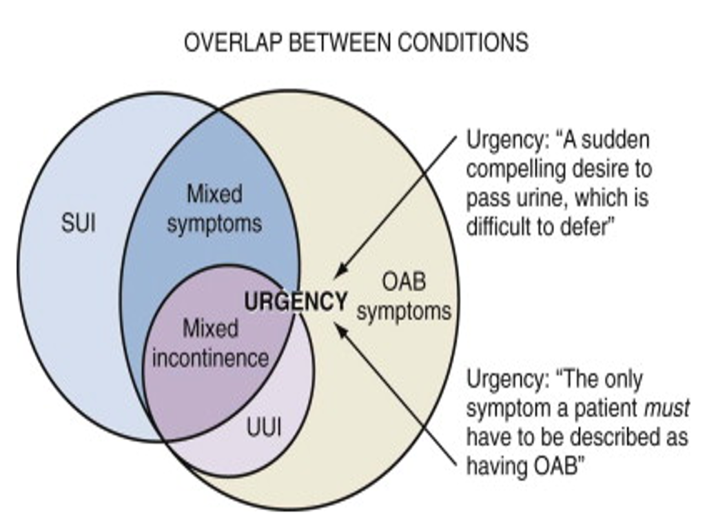 Brady Urology at Johns Hopkins Hospital Female Incontinence