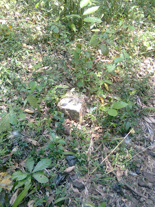 Re survey Stone laid on the boundary of the land HAIS>