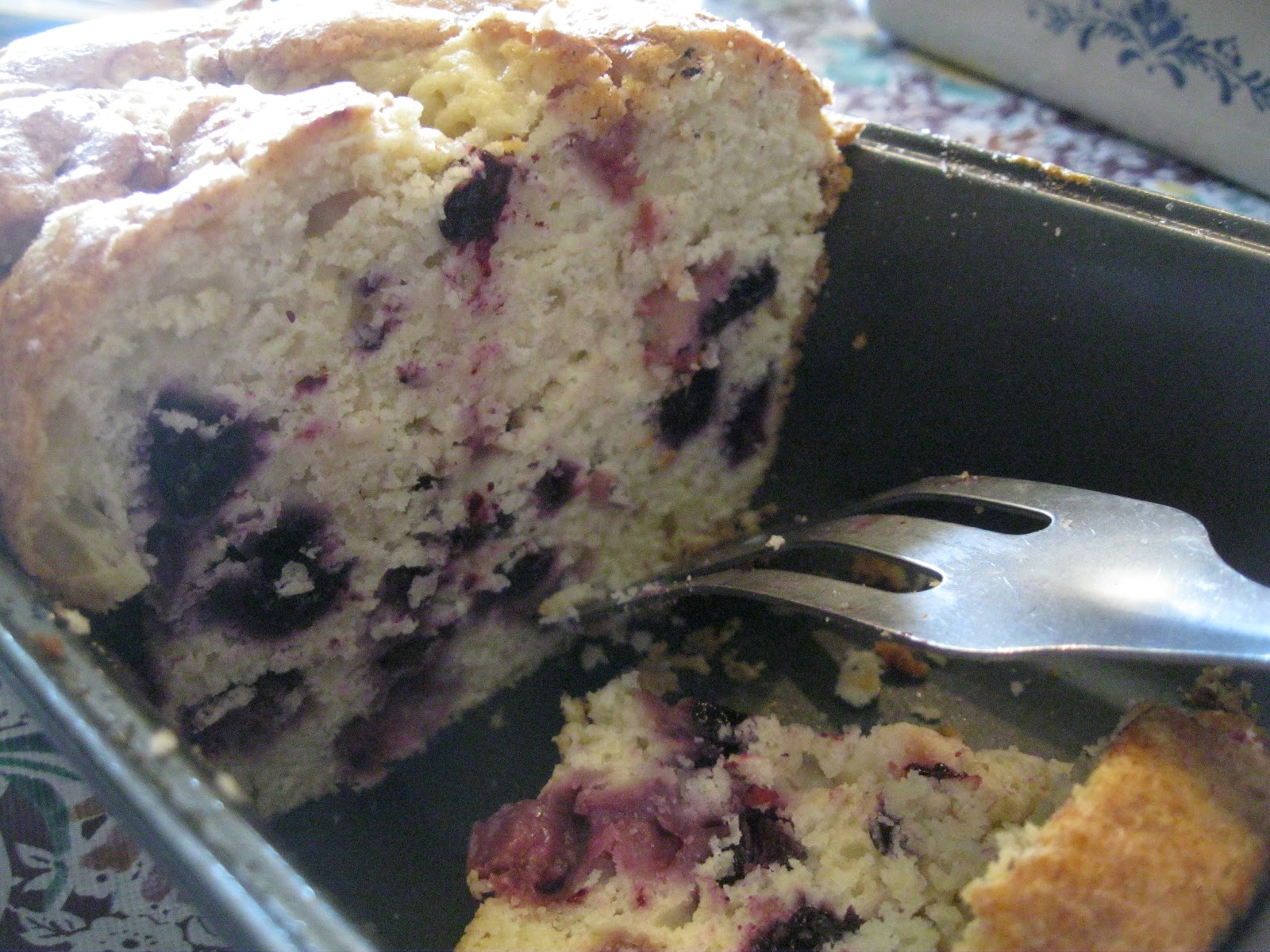 Sourdough Surprises Sourdough Cakes!