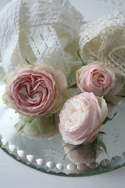 Ljust rosa är favoritfärgen- på pelargoner, rosor och tulpaner