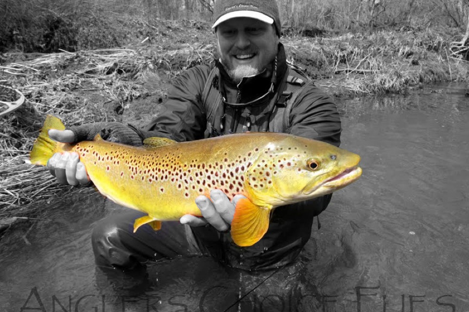 Ohio Trophy Trout Hunter A Month ReCapped
