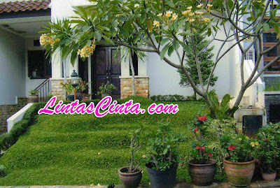 Desain Taman Rumah Minimalis 2013 Desain Taman Rumah Minimalis 2013
