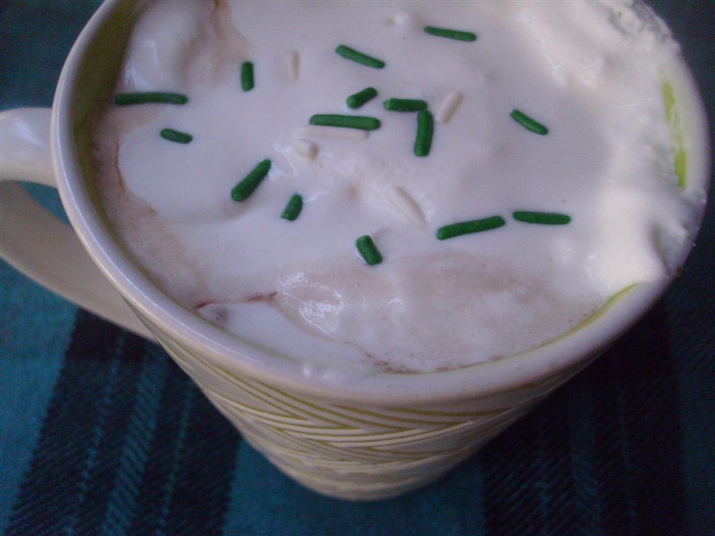 The DoItYourself Mom DIY NonAlcoholic Irish Cream Coffee Syrup and