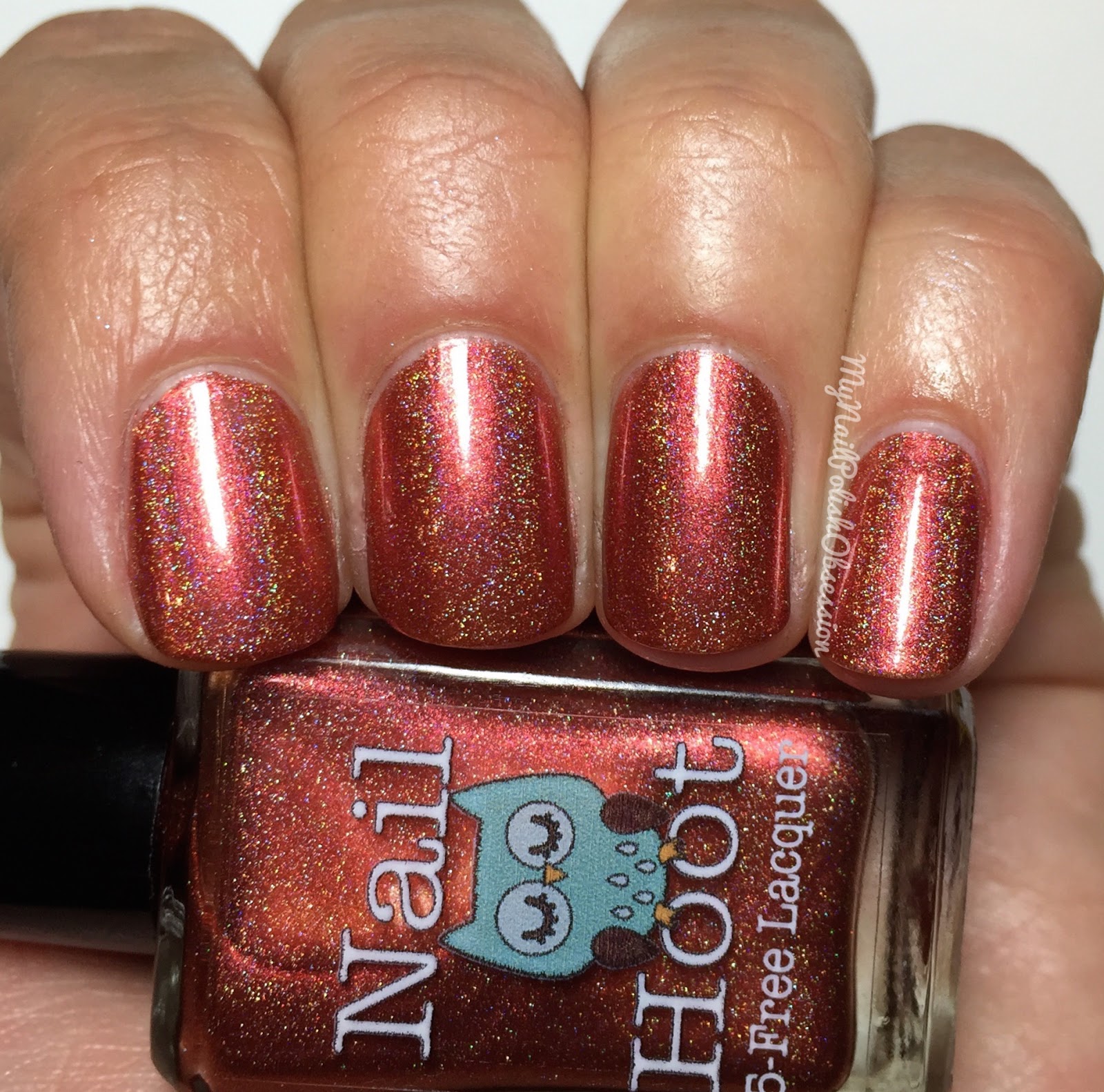 My Nail Polish Obsession Nail Hoot Limited Edition Bible Stories
