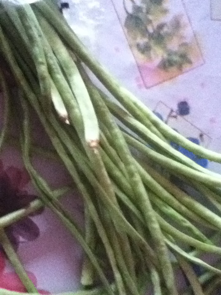 ammachethiruchi.blogspot.com: BARBATI BEANS COW PEA KARAMANI