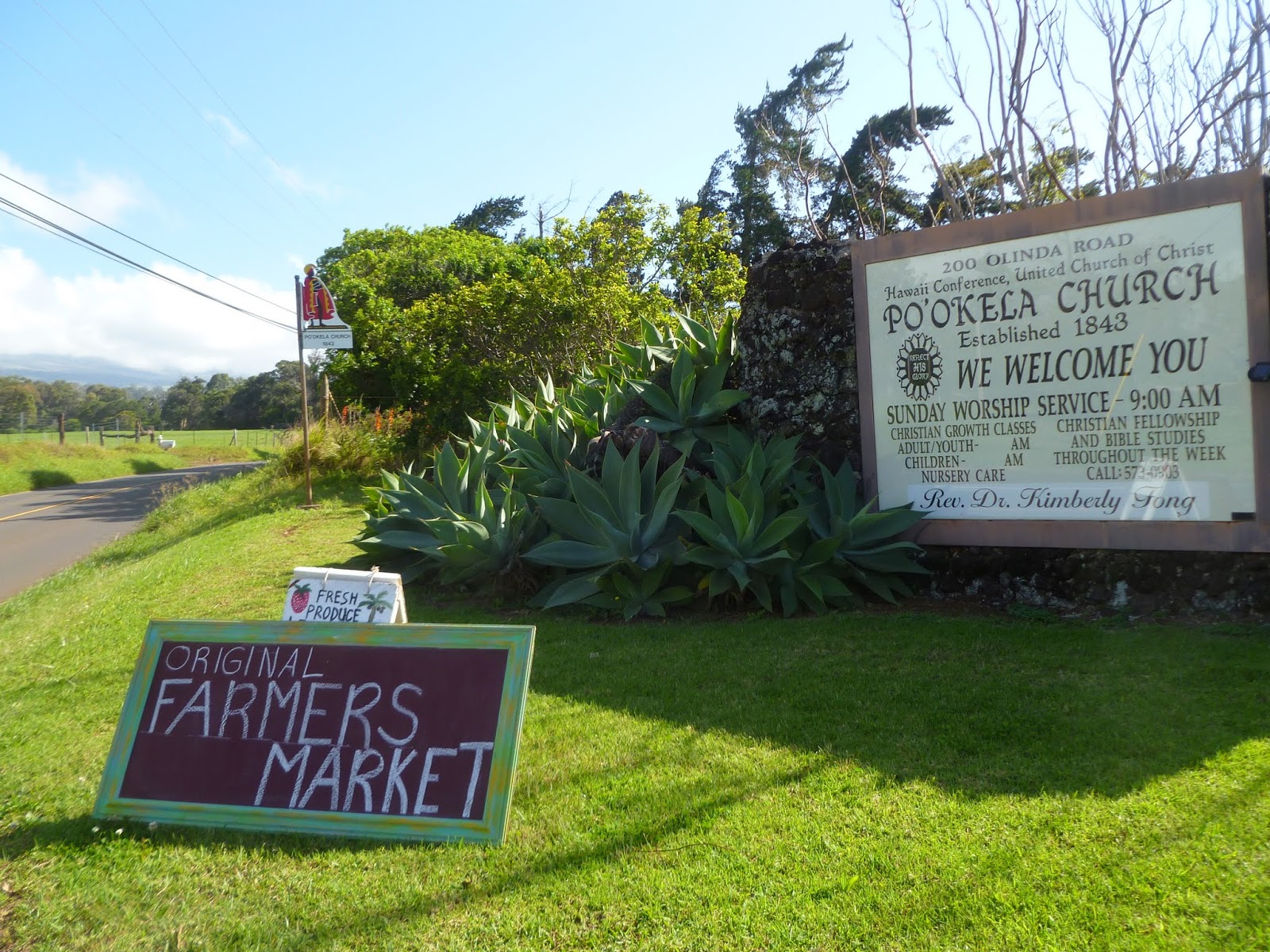 Makawao Farmers Market Moved! Maui Jungalow