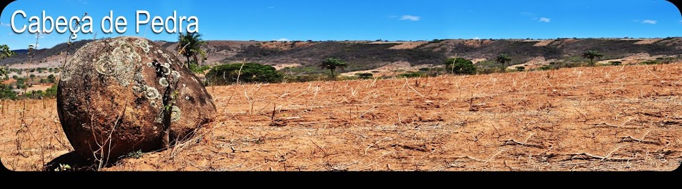  Cabeça de Pedra