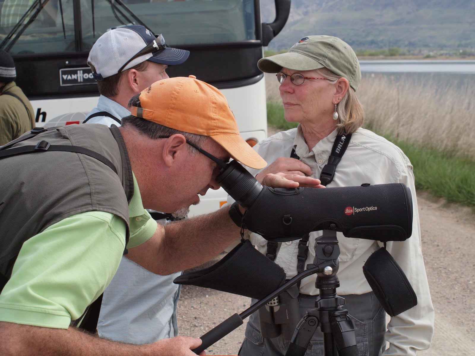 Birding Is Fun! Review The Great Salt Lake Bird Festival