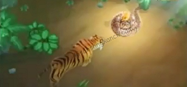 Tali Pinggang Ajimat Tali Pinggang Ajimat