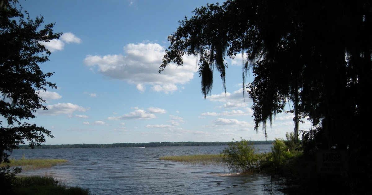 Tassie's Campground Reviews Ocean Pond Campground Olustee, Florida