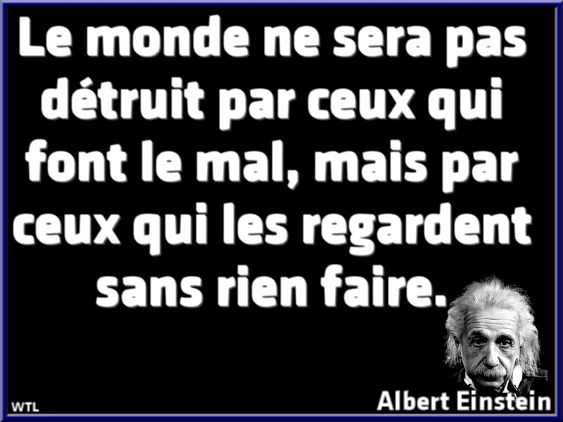 Moi je pense que les belles rencontres se font partout