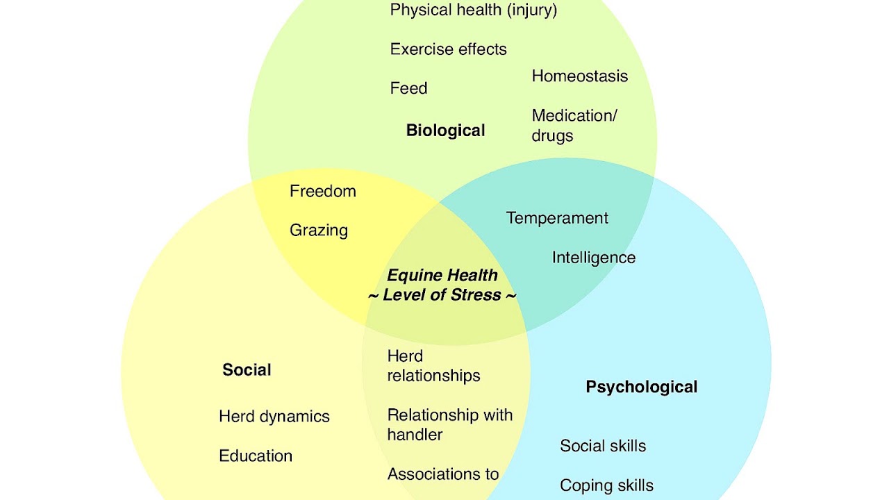 Biopsychosocial Model In Health Psychology