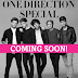 Personil One Direction Bicara Pacar