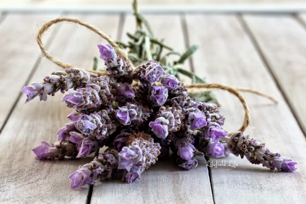 Aroma Blends Lavender recipes